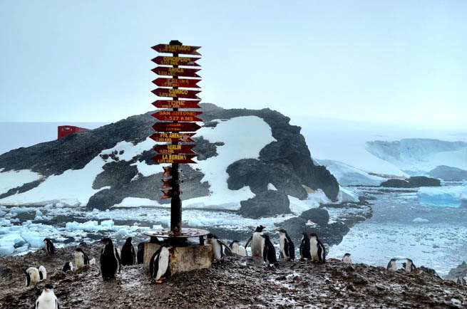 Follow these tips to prepare for a trip to Antacartica. 