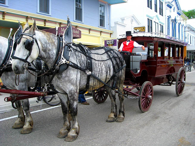 Mackinac Island is an island and resort area, covering 3.8 square miles in land area, in the U.S. state of Michigan.