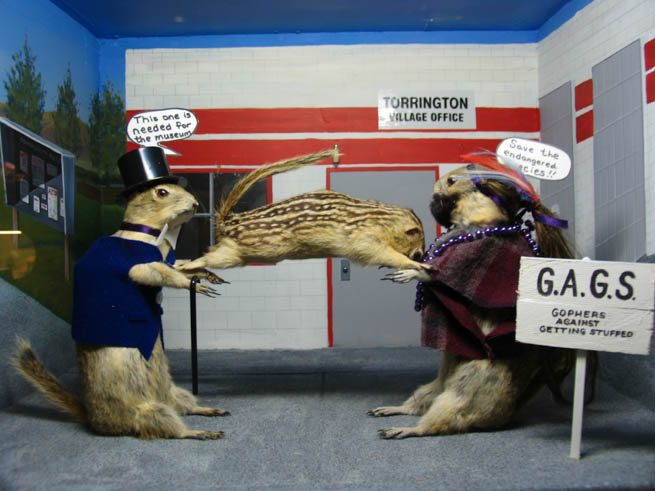 Torrington Gopher Hole Museum, located in Torrington, Alberta, features stuffed gophers posed to resemble townspeople.