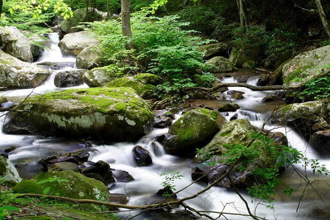 A stream meanders through the world’s second largest hard wood forest in West Virginia and Kentucky.