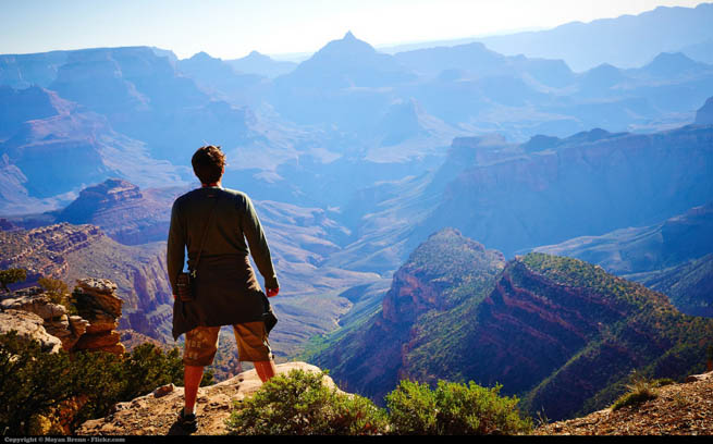 A man looks out over the Grand Canyon.