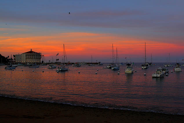 Looking to get out of the bustle of LA then why not plan a relaxing escape on Catalina Island?