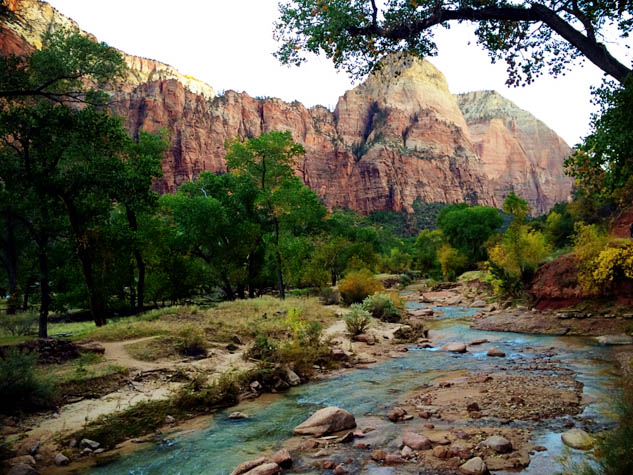 Take the kids the next time you visit Zion and have a great adventure, using these tips of course.