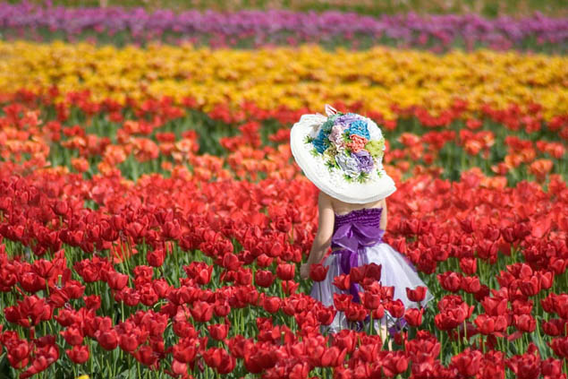 Plan a colorful trip you'll never forget by attending one of these fun flower festivals.