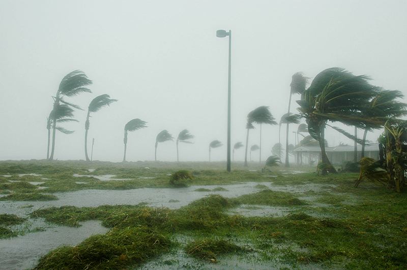 Make sure your travelers are protected during hurricane season.