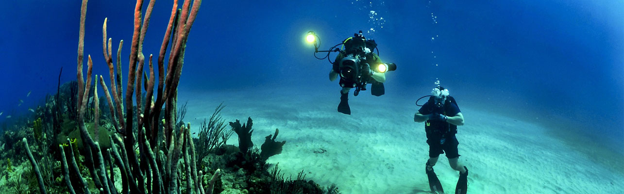 Make sure you have dive insurance for you next SCUBA vacation.