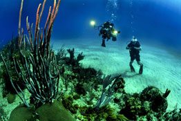 SCUBA diving insurance is important for any dive vacation.
