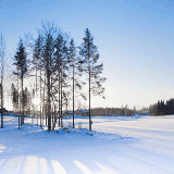 Whether you are looking to travel in the winter or Summer Finland has plenty of history and nature activities. 