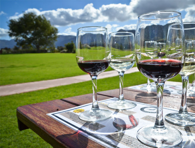 South Africa is a romantic way to celebrate your engagement. Wondering where to celebrate your engagement? Check out these options.