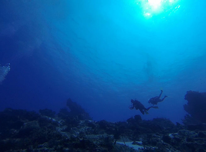 Pick one of these diving spots on Mexico's Riviera Maya for a truly memorable experience.