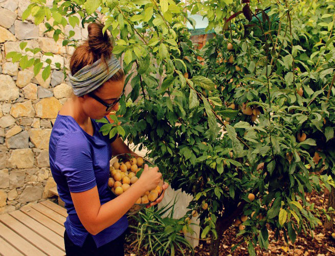 Some voluntourism experiences allow you to work on a farm. Volunteering while traveling is a great way to give back to the community. Here are three steps to plan your experience.