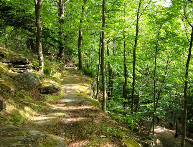 Ohio Content Park RoamRight gives you 5 Cool Things in Ohio That you Probably Don't Know About