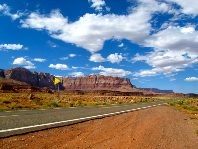 DesertContent DesertContent