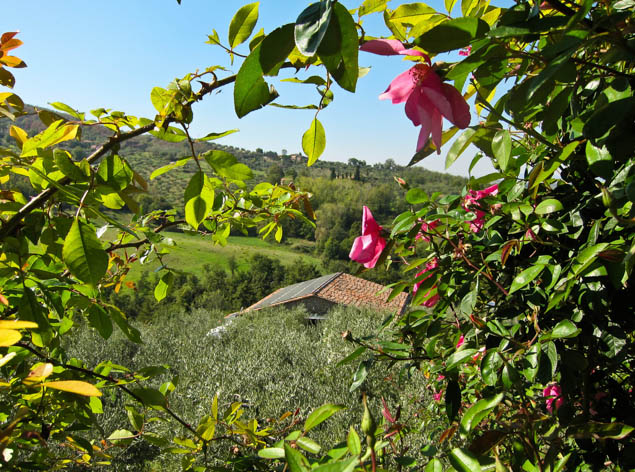 Dream of spending your next vacation in the rolling hills of Tuscany? Check out this great introduction to one of Italy's best regions.