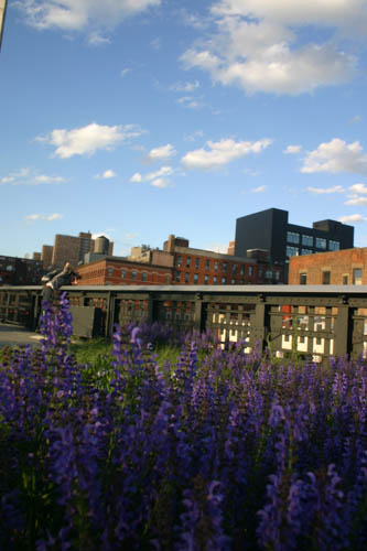 High Line is a 1-mile New York City linear park built on a 1.45-mile section of the elevated former New York Central Railroad spur called the West Side Line