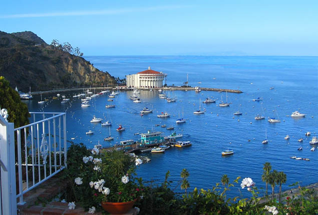 Get lost in a quiet bit of paradise easy to visit in Southern California - Catalina Island. 