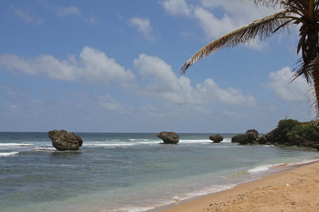 Barbados is a sovereign island country in the Lesser Antilles 