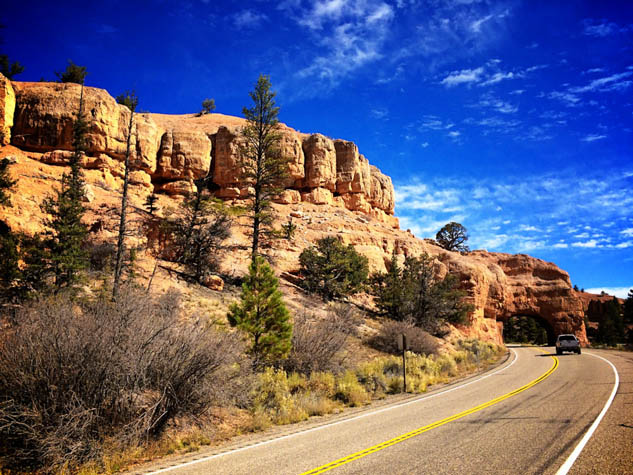 Don't let a long drive stress you out - pack these items for a pleasant family road trip.