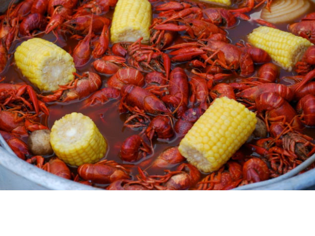 There's a lot more to Louisiana than New Orleans. Find out about this beautiful state.