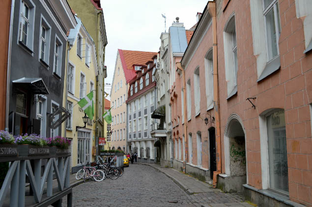 Consider a magical journey to Estonia with these experiences as highlights of your trip.