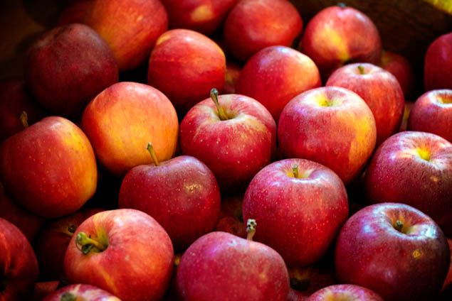 Pack up the whole family and go apple picking, but be sure to visit one of these amazing orchards. 