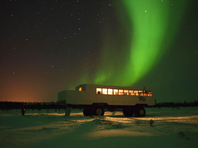 Let this post convince you that Churchill in Manitoba is an amazing place to visit.