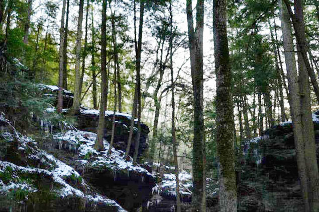 Strap on your boots and tackle these great hikes in Ohio.