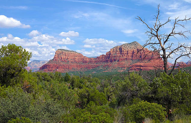 See and experience the best that Sedona, Arizona, has to offer.