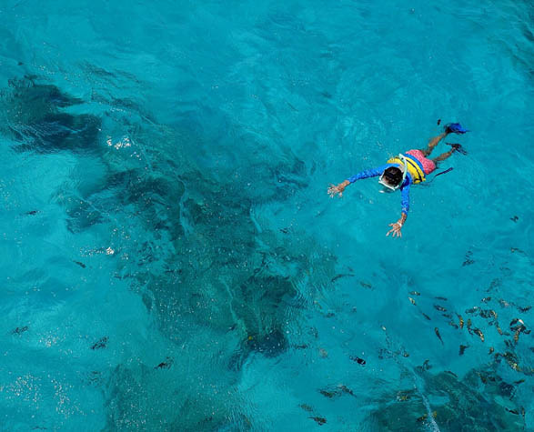 Snorkeling may not be for everyone, but with these tips you'll be taking to the water in no time!
