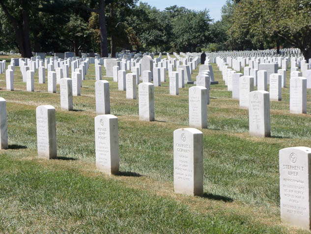 Pay your respect this Veterans Day by visiting these moving spots in and around Washington, DC.