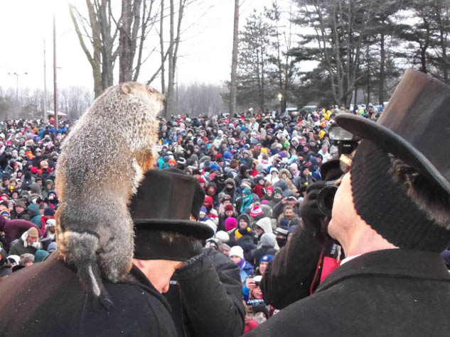 Experience an event unlike anything else in the world with this annual rodent celebration.