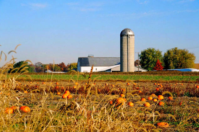 Plan the perfect fall getaway and visit any of these fun destinations.