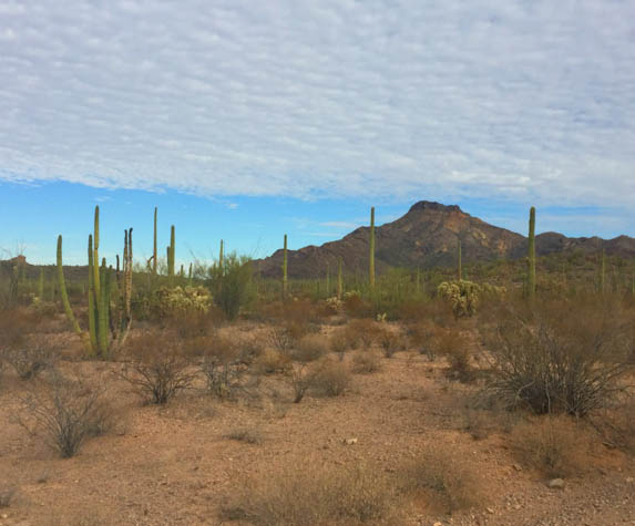 Discover why this corner of Arizona is loved by millions around the world.