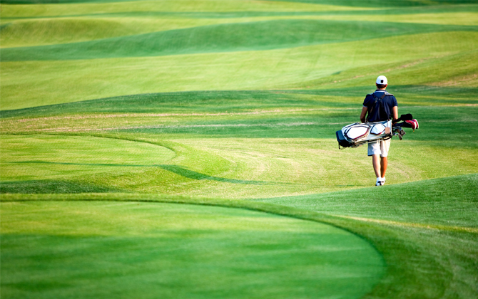 GolferLarge GolferLarge