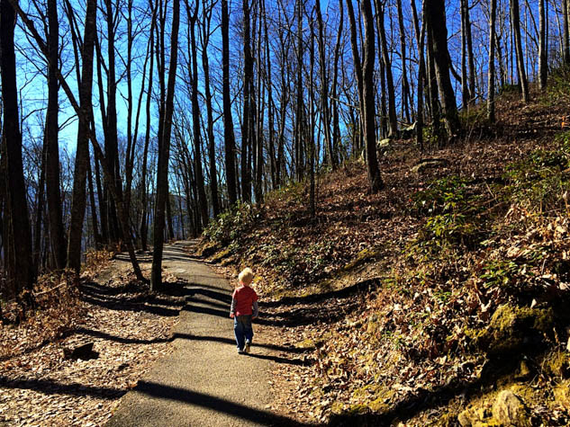 Plan a hiking adventure that even the kids will be able to do in this beautiful national park.