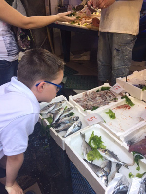 TWK-Food-Market_Naples